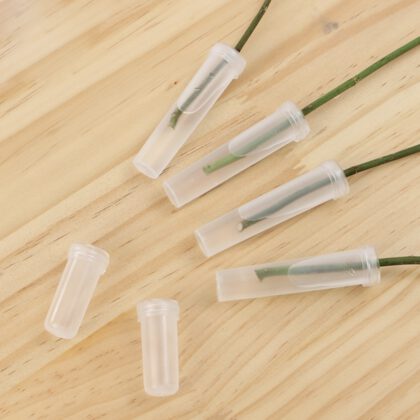 បំពុងទឹកត្រាំផ្កា